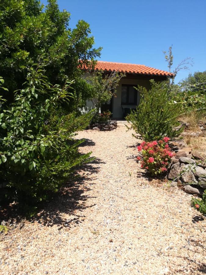 Agriturismo Su Birde Orosei Εξωτερικό φωτογραφία