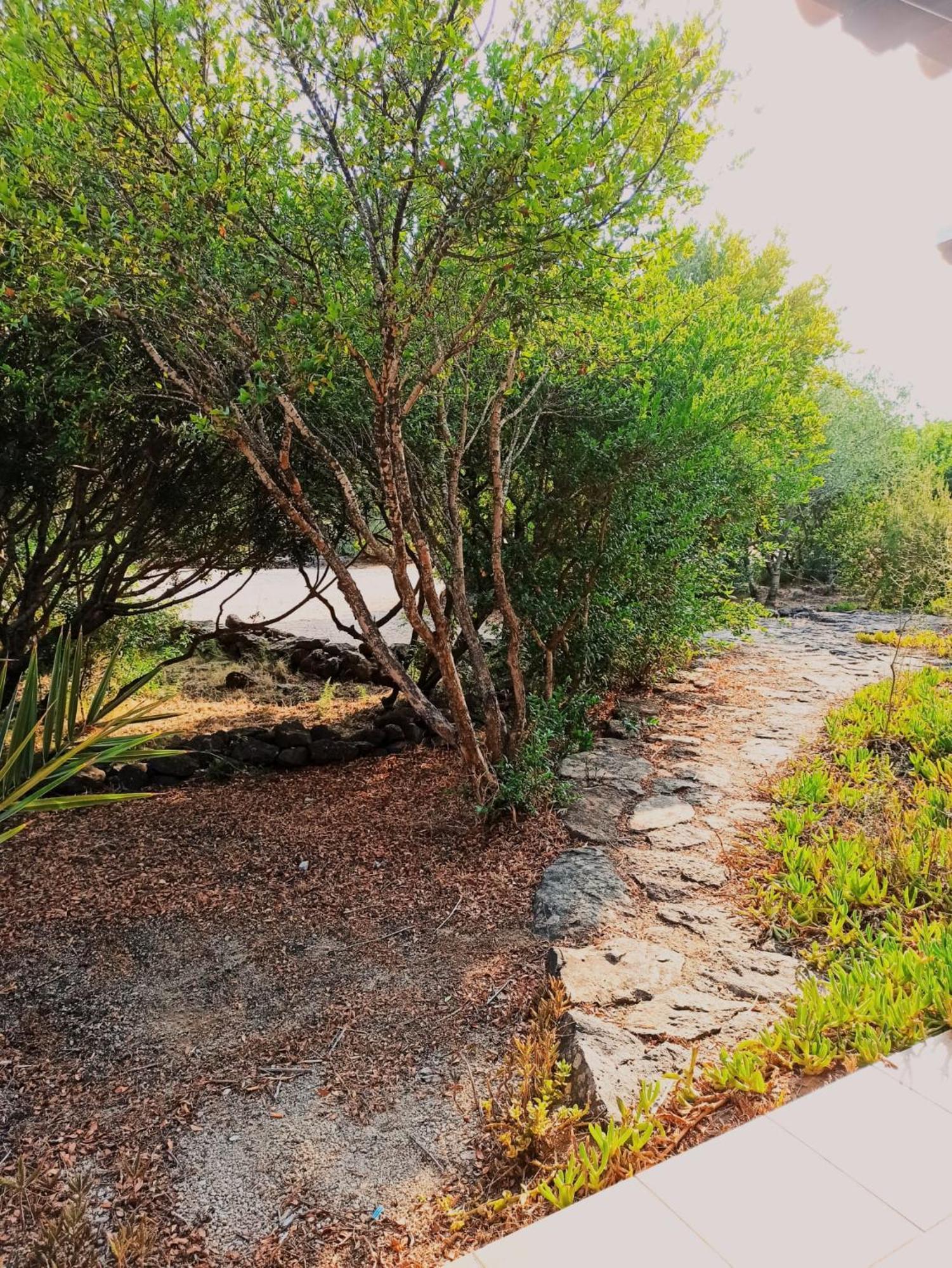 Agriturismo Su Birde Orosei Εξωτερικό φωτογραφία